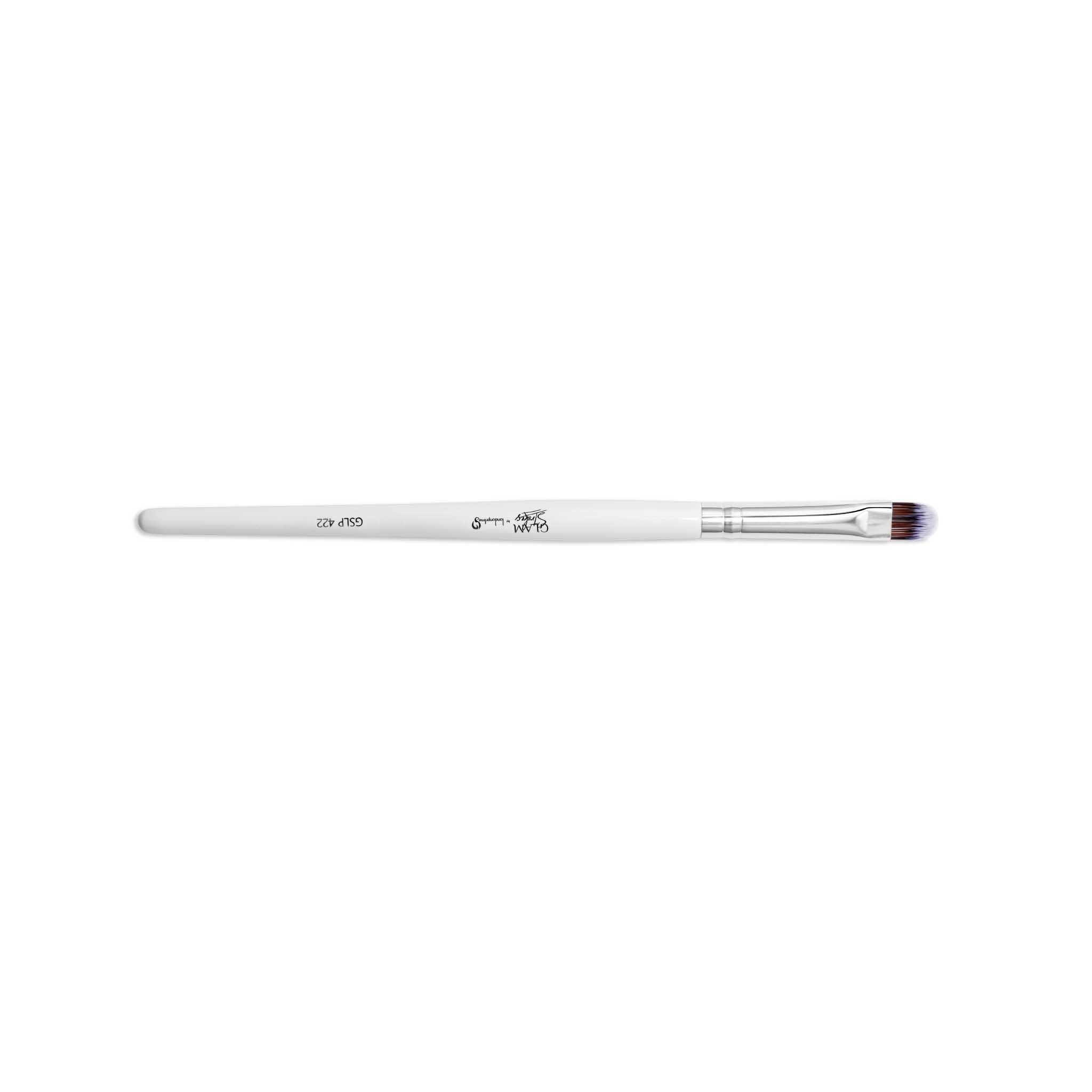 Glamstrokes 22 Pcs Professional Makeup Brush Set (GS401–GS422)